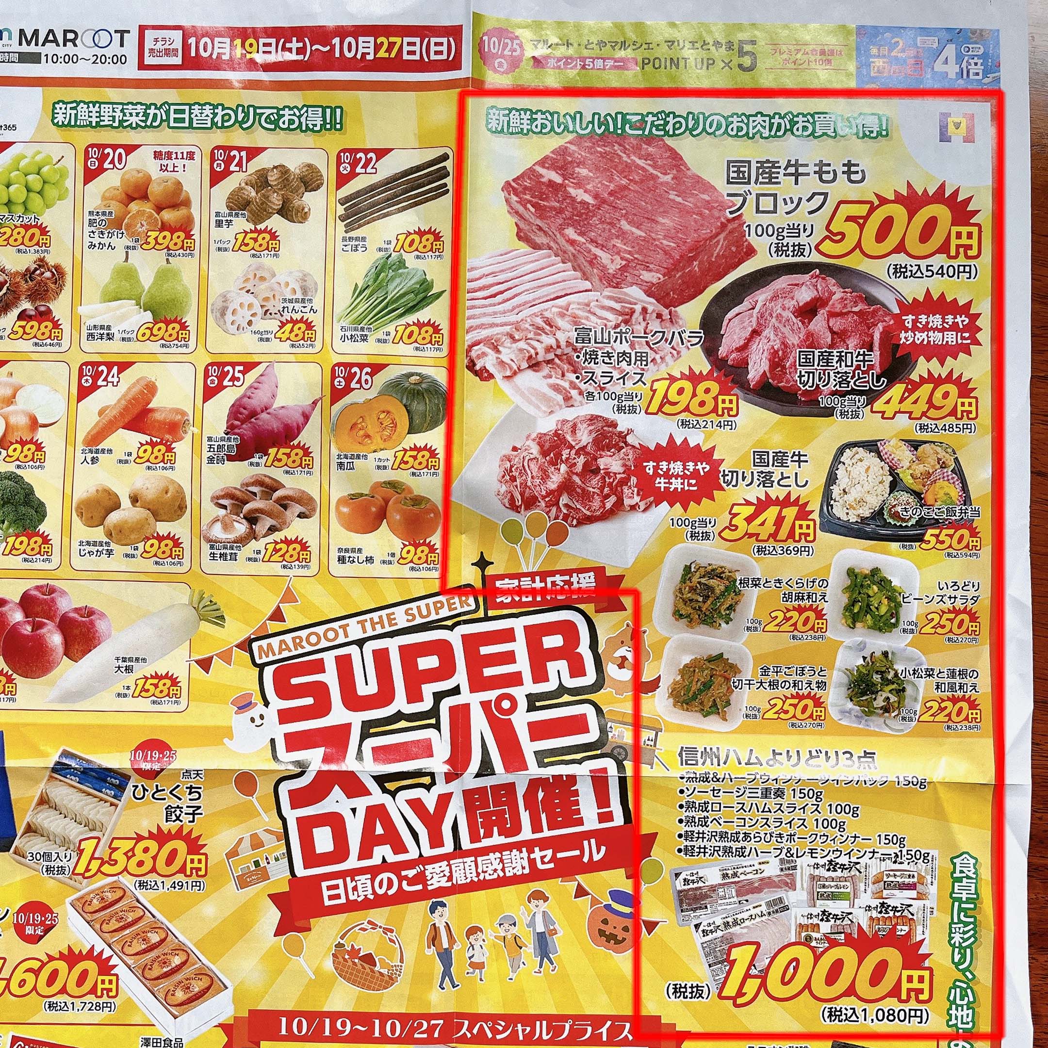 ヒカゲノカズラ 信州産 ご予約ページ 【公式通販】